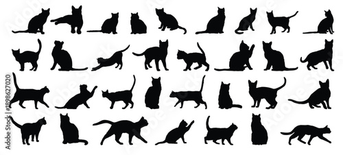 cat silhouette set. cat or kitty isolated farm animal silhouette icon vector collection