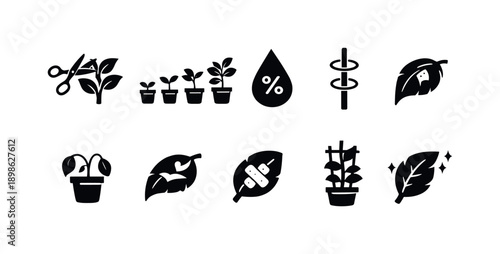 Gardening and plant care silhouette icon set. Nature, horticulture icons collection.