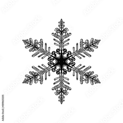 Snowflake Silhouette Vector Icon Isolated Ice Crystal Winter Symbol on White Background for Holiday Design