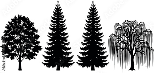 Four black tree silhouettes including conifer, willow, and deciduous types on white background – flavector