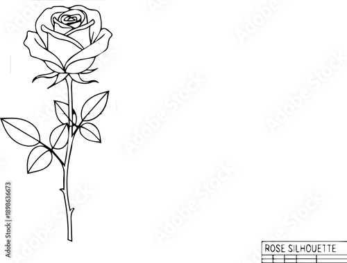 Full Rose with Stem and Leaves Technical Drawing Blueprint Style for Engineering and Design