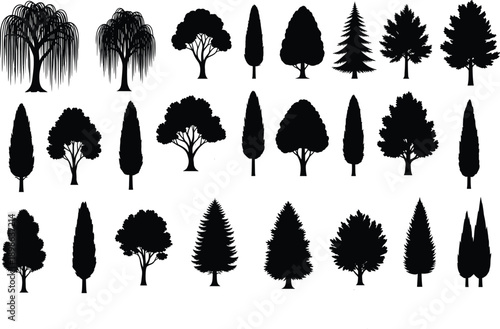 Tree silhouette set, black botanical icons, diverse tree shapes and foliage styles, weeping willow, conifer, columnar, landscape design, nature reference