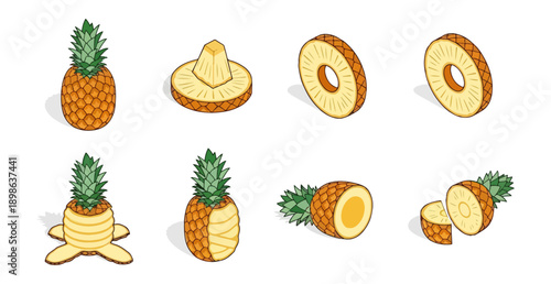 Pineapple fruit illustrations sections whole fruit and slices