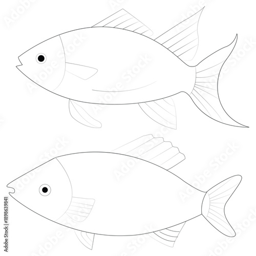 Simple Line Art Fish Outlines