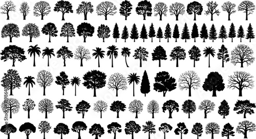 Tree silhouette collection, diverse botanical icons, black and white vector, coniferous and deciduous shapes, palm tree graphic, landscape design elements, nature illustration set