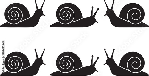 Six black snail silhouettes in various positions on a white background