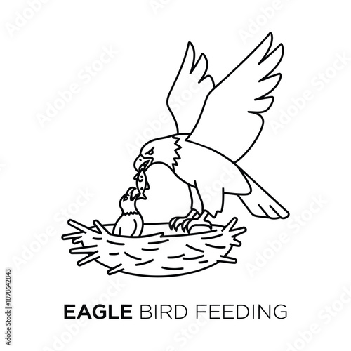 Eagle Bird Feeding Chicks in Nest Line Art Wildlife Scene vector illustration.