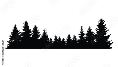 Fir trees silhouette. Coniferous spruce horizontal background pattern, black evergreen woods vector illustration. Beautiful hand drawn panorama of coniferous forest