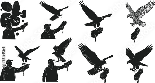 Falconry silhouettes, falconer, hawk, eagle, flying bird, glove, hunting, wildlife, raptor, training, medieval, vector, black, illustration