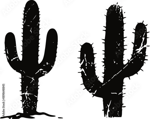 Grunge cactus silhouettes with thorns isolated on white background, desert plants illustration