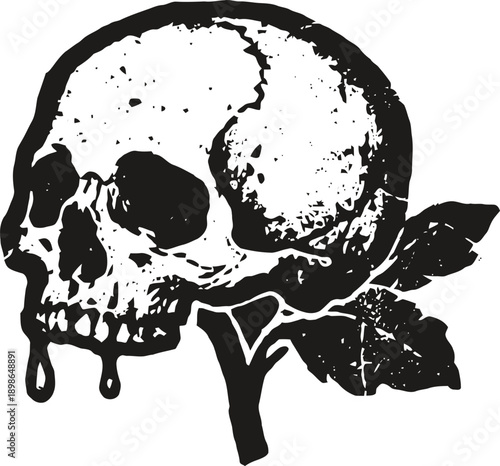 Black grunge skull with dripping paint and leaf design on white background