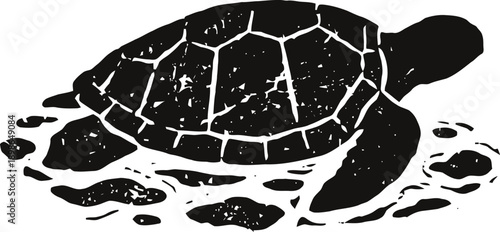 black sea turtle silhouette swimming in water with rocks underwater ocean wildlife