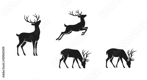 Set of four black deer silhouettes in different poses.
