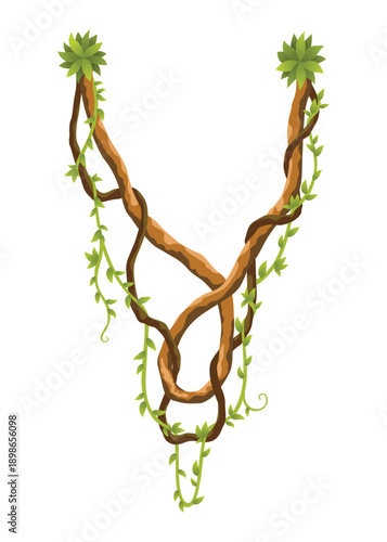 Liana branch. Twisted wild jungle vine plants. Woody natural tropical rainforest, exotic botany element. Vector design element