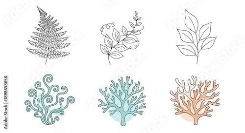 Collection of minimalist line art illustrations featuring various types of leaves and underwater coral formations.
