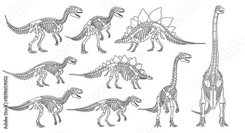 Comprehensive set of various dinosaur skeleton silhouettes in black and white including T-Rex, Stegosaurus, and Brachiosaurus.