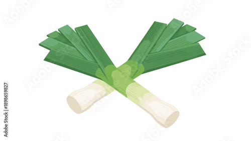 Two fresh green leeks are crossed over each other on a plain white background in a clean and simple flat illustration design style.