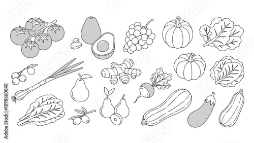 Detailed line art collection depicts various fruits and vegetables including tomatoes, grapes, pumpkin, lettuce, carrots, and eggplant.