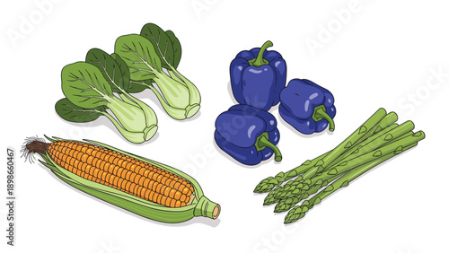 Fresh produce in isometric style featuring a cob of corn, purple bell peppers, bok choy, and a bundle of green asparagus for cooking designs.