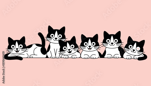 Six black and white cartoon cats on pink background black and white cats smiling cats