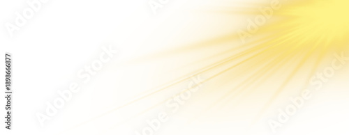 Glowing yellow sunlight creates sparkling rays and radiant beams over background.
