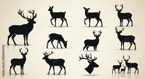 Collection of Deer Silhouettes in Various Poses and Styles.