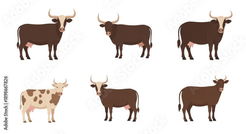 Collection of six different cow illustrations on white background.