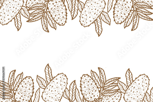 Guanabana fruit frame with leaves. Soursop fruit sketch background, retro design. Ink drawing guanabana fruit background with empty place for text or logo.