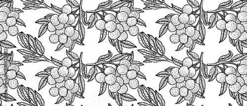 Seamless pattern with tropical fruit longan. Branch of longan with whole fruits in vintage linear style. Can used for kitchen textile, wallpapers in botanical style, wrapping papers.