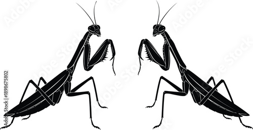 Black praying mantis silhouette set with two realistic insect icons in profile view isolated on white background for nature wildlife and entomology design projects