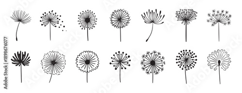 Dandelion flower silhouette doodle hand drawn icon set. Outline drawing Dandelion flower silhouette line clipart symbol collection