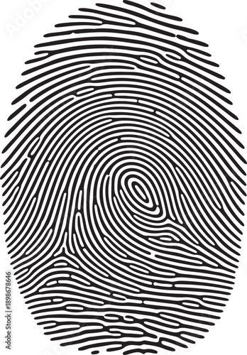 Fingerprint pattern biometric identification