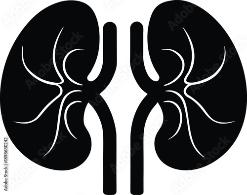 Simple black and white illustration depicting a pair of human kidneys with connected ureters