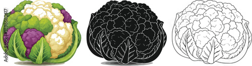 One whole head of cauliflower showing white, green, and purple florets is depicted with black and outline versions for graphic use.