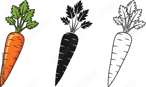 A single fresh orange carrot with green leafy tops is shown alongside its solid black and clear line art representations.