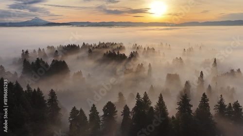 A blanket of sunlit fog drifts through the Willamette Valley just south of Portland, Oregon. The Pacific Northwest is known for its scenic forests, waterfalls, and rivers, as well as its wet weather.