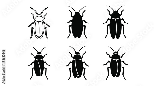 Six beetle illustrations in varying black and white styles silhouette