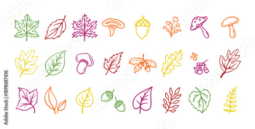 Autumn leaves outline doodle set. Botanical fall contour stickers. Vector leaf clipart drawings 