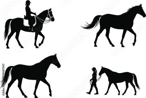 Set of equestrian silhouette vector illustrations featuring horse riding and walking poses with jockey and trotting stallion isolated on white background for sports design