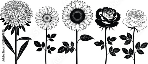 Set of five flower vector illustrations including sunflower rose daisy and chrysanthemum in silhouette and line art styles isolated on white background for floral design