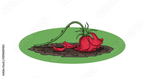 Wilting Red Rose on Soil, Cartoon Style. Fading Romance, Isolated on transparent background. Sad Flower, Broken Heart Concept. Loss and Grief Stock Image.