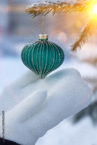 Winter park and New Year trees decorated with toys.