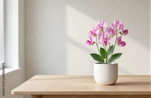 Wallpaper Mural Sweet Pea with pink blossoms in white ceramic pot on wooden table, bright sunny room. Concept of minimalistic aesthetic with soft background, highlighting Lathyrus odoratus. Torontodigital.ca