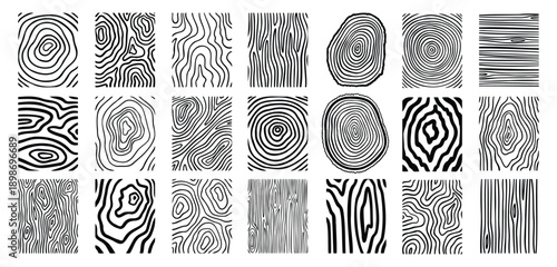 Wood lines texture material doodle hand drawn line set. Rings and circles tree trunk geometric curve, wave contour. 