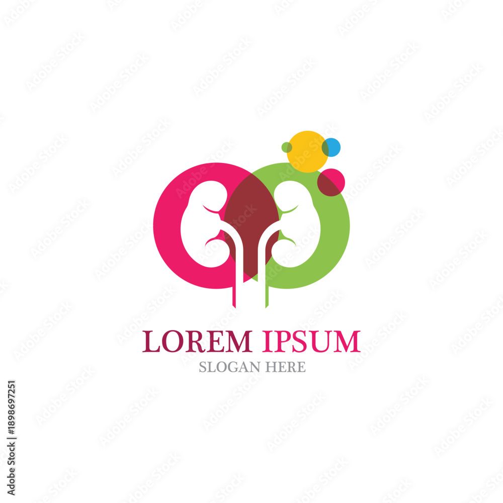 Fototapeta premium kidney vector illusrtation