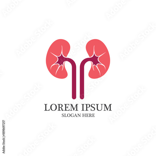 kidney vector illusrtation