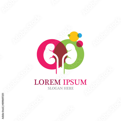 kidney vector illusrtation