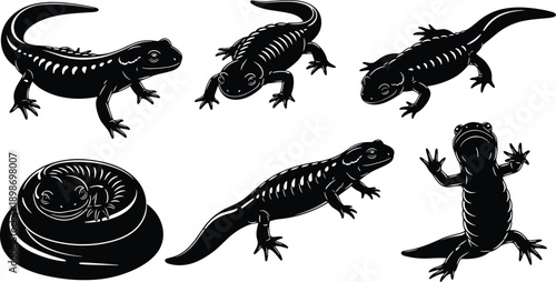 Six black salamander in various poses on white background newt amphibian reptile