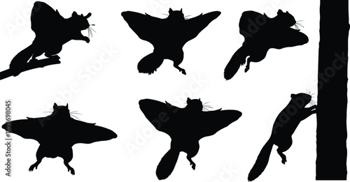 Six black silhouette flying squirrels in various poses on white background animal