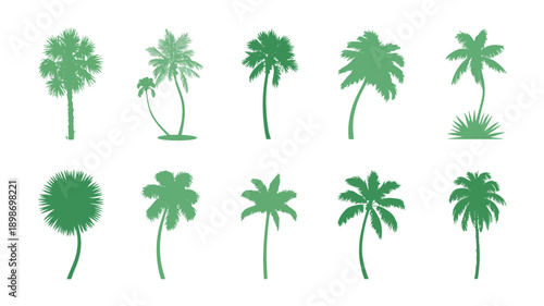 Palm tree silhouette vector set with tropical green palm shapes isolated on white background ideal for summer beach travel and nature design projects